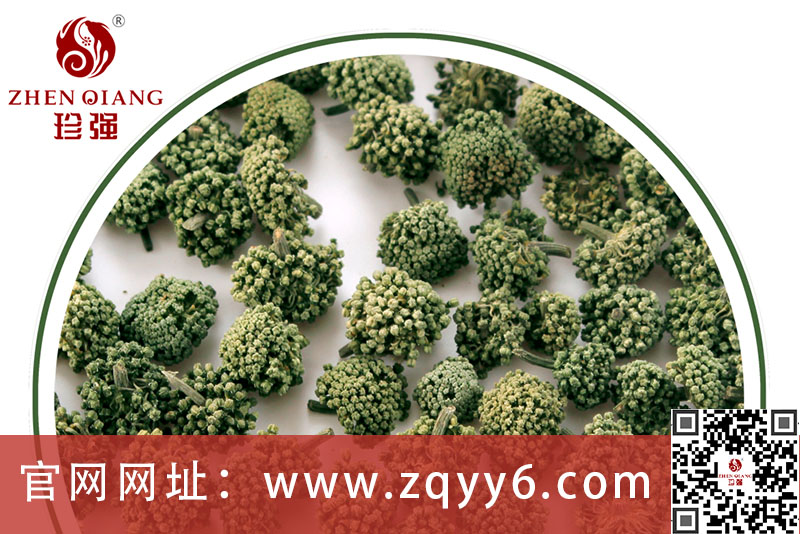 三七花和三七粉有什么区别，三七花可以代替三七粉服用吗
