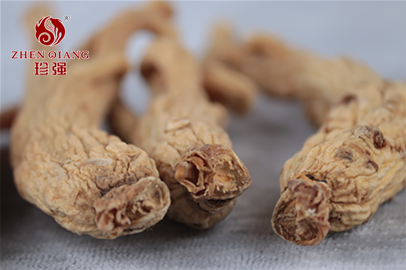 大力参是东洋参吗，大力参是如何加工制成的——中药材批发市场，西洋参批发，参茸礼品定制