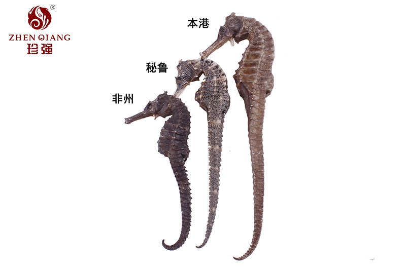 海马干制品的吃法有哪些，海马这么吃才不会导致浪费 - 中药材批发市场 西洋参批发市场 参茸礼品定制