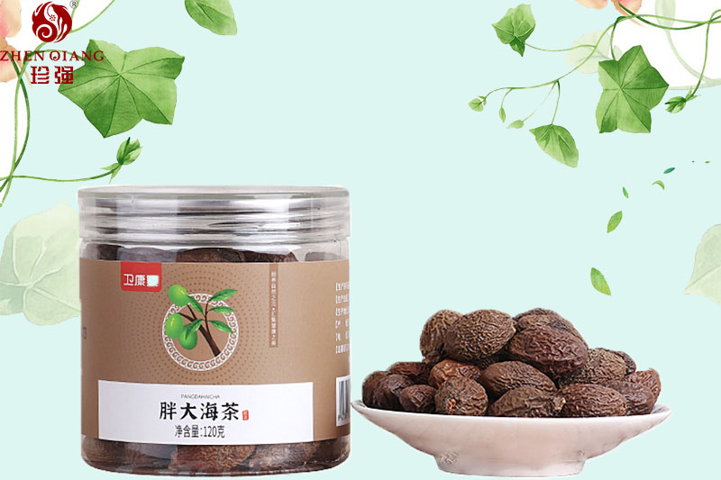 一秒鉴别真假泡大海，胖大海和圆粒苹婆的区别都在这里了，卫康旗下河北珍强西洋参批发零售